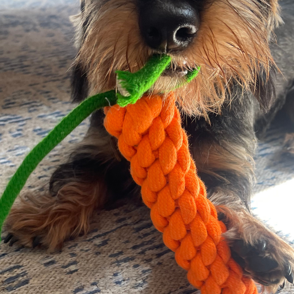 Spielzeug geflochtene Karotte für Hunde