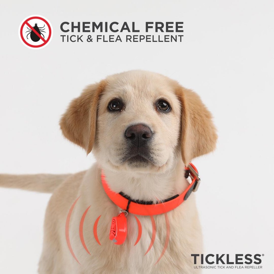 TickLess PET Ultraschallgerät für Hunde & Katzen