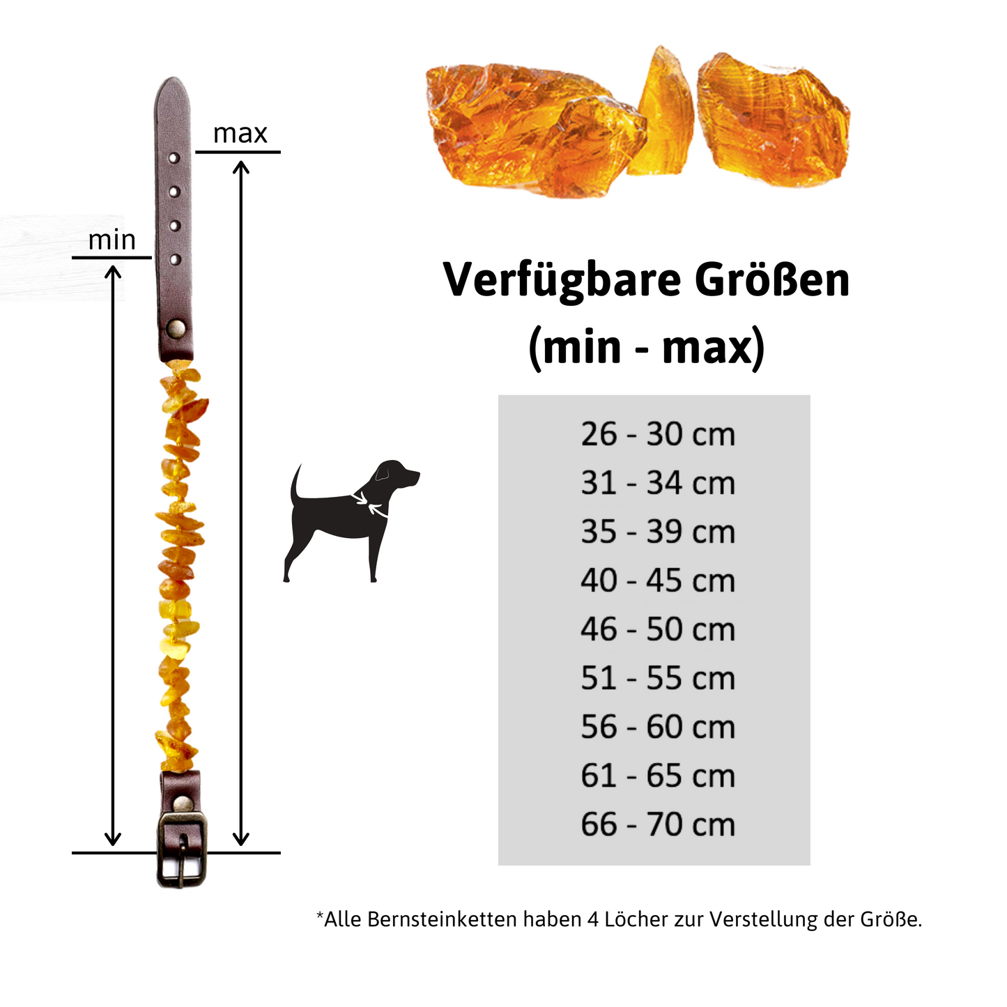 Bernsteinketten für Hunde