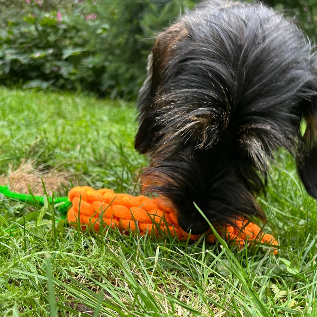 Spielzeug geflochtene Karotte für Hunde