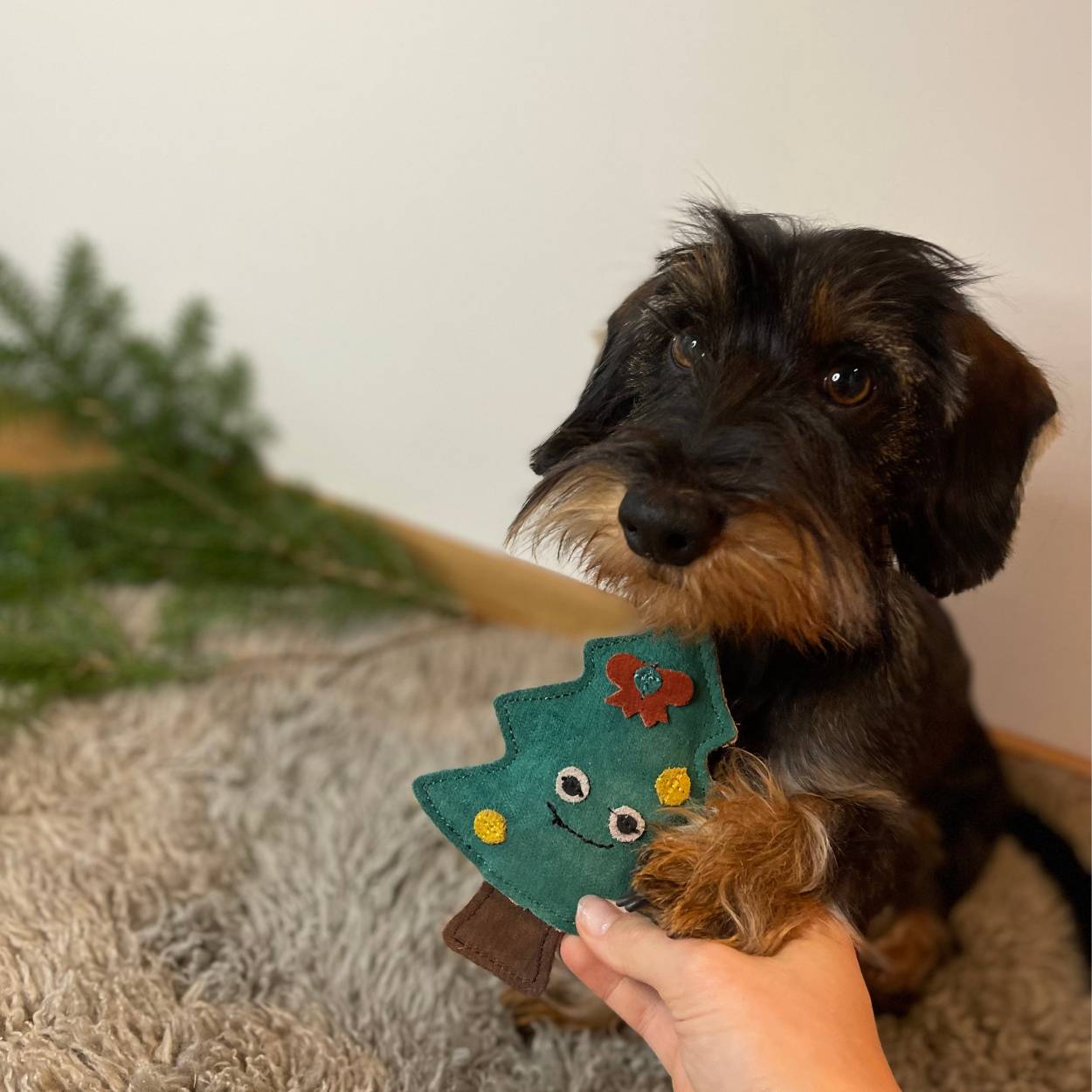 Spielzeug Weihnachtsbaum aus Leder für Hunde