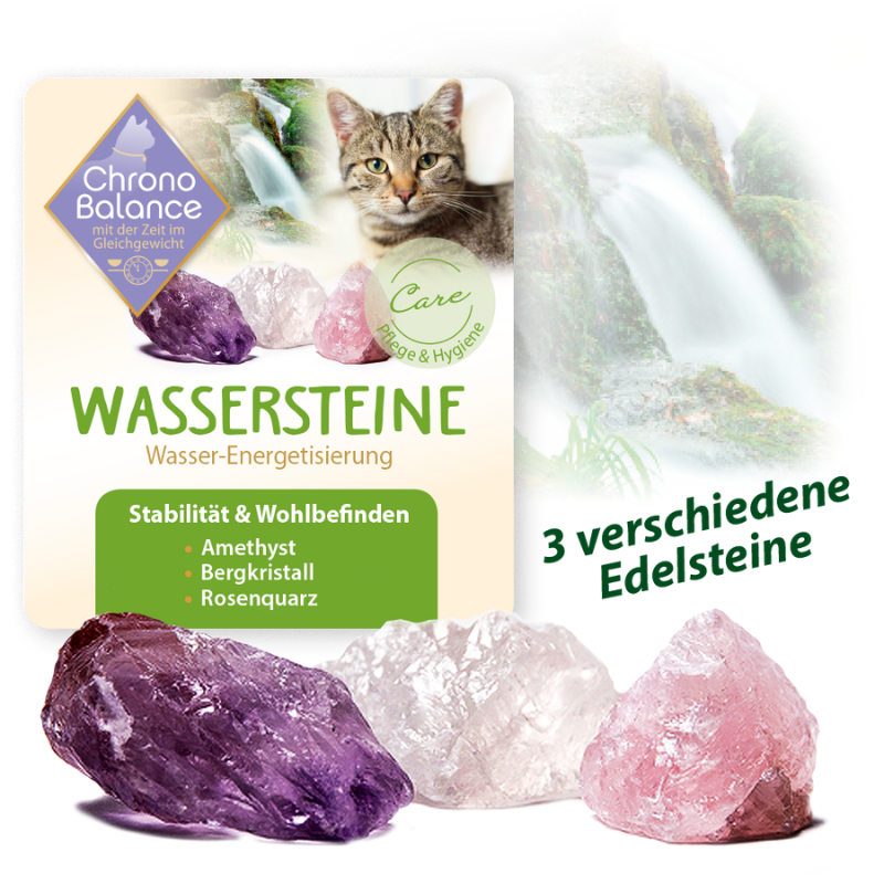 Wassersteine für Katzen