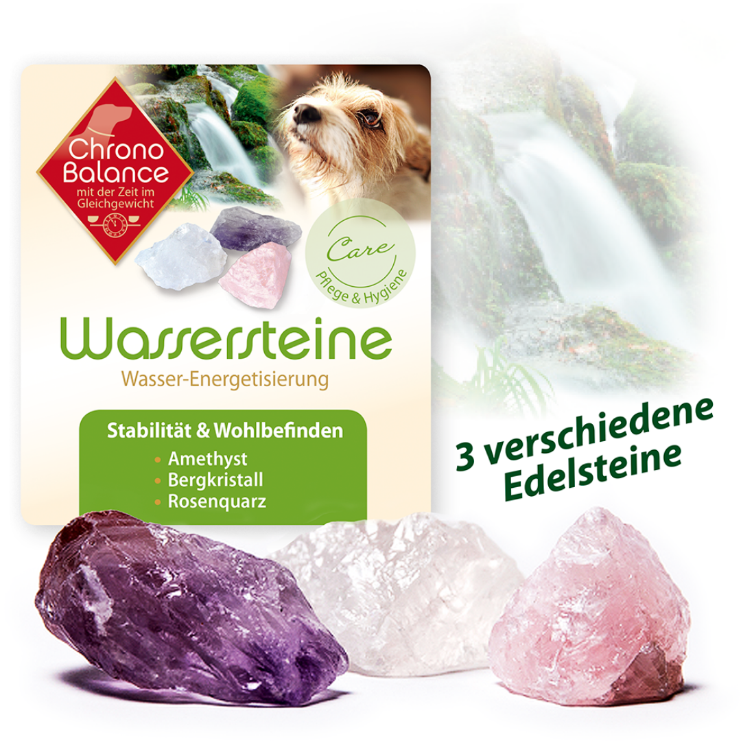 Wassersteine für Hunde